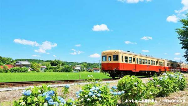 鉄道ライター「いわば１億総鉄オタです」　日本人に鉄道好きが多い理由に納得！