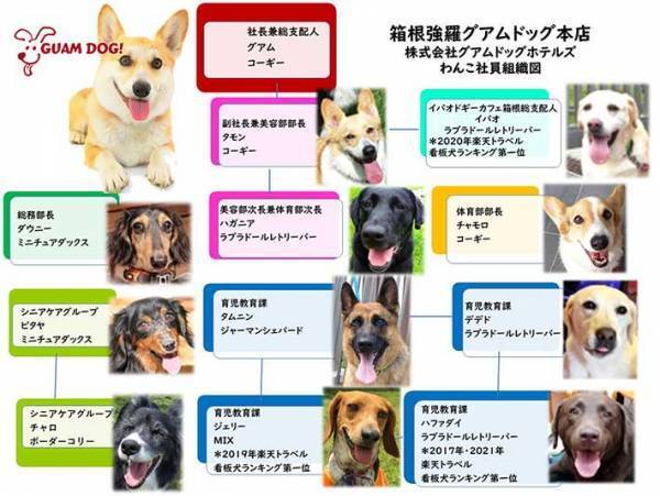 「会いに来ました」「癒される」　宿泊客の心をつかむ看板犬、その意外な過去とは？
