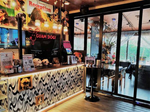 「会いに来ました」「癒される」　宿泊客の心をつかむ看板犬、その意外な過去とは？