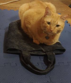 「夫のバッグが職人によってリメイクされた」　結果に吹き出す人が続出