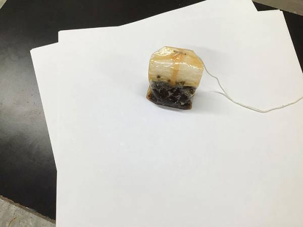 「しっとり感にドキッとする」　手帳に挟まれた『使用済みティーバッグ』の正体は？