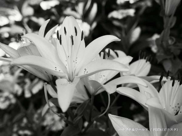 【訃報】指揮者・山脇幸人さん３１歳が急逝　「あまりに早すぎる」「才能あふれる人」