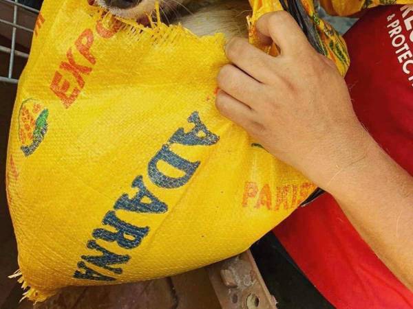 米袋の中から出てきたのは…　動物保護団体の投稿に衝撃が広がる「心が痛む」