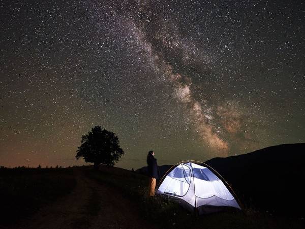 【天体ショー】２０２３年の『しし座流星群』がやって来る！　時期と見頃は？