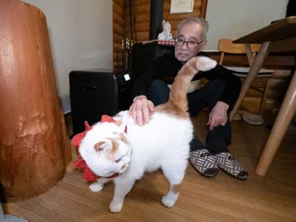 おめかしした猫と父親　コントのような３枚に「爆笑」「お父さんの扱いよ」