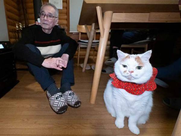 おめかしした猫と父親　コントのような３枚に「爆笑」「お父さんの扱いよ」