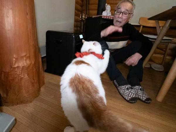 おめかしした猫と父親　コントのような３枚に「爆笑」「お父さんの扱いよ」