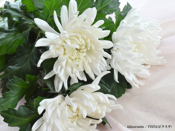 声優・中庸助さんが逝去　『のび太のパパ』の優しい声を思い出す人が続出