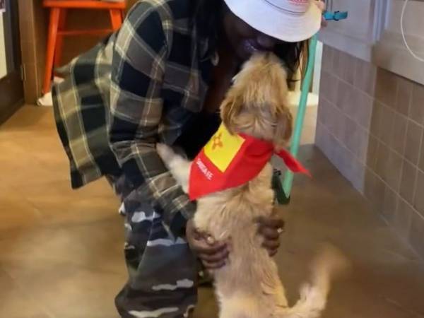 見知らぬ場所で行方不明になった犬　飼い主との再会シーンに「もらい泣きした」