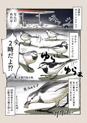 心配だから寝て！　深夜のガソリンスタンドの光景に「知らなかった」「夜更かしするのか」