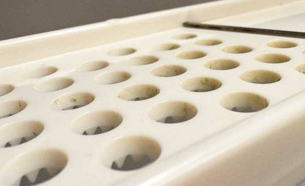 歯ブラシの『じゃない方の使い方』知ってる？　洗いにくい調理器具がピカピカに！