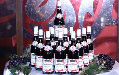 ２０２３年のボジョレーヌーヴォーが解禁！ワインにピッタリな和風飯も紹介！