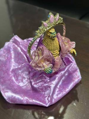 ２歳児の『お人形遊び』に反響　ドレスを着せたのは？　「似合ってるぞ」「笑った」