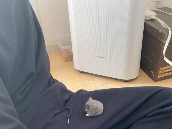ハムスターにおやつをあげた飼い主　「急いでいる時に限って…」とつぶやいたワケが？