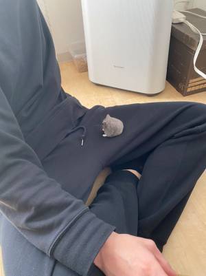 ハムスターにおやつをあげた飼い主　「急いでいる時に限って…」とつぶやいたワケが？