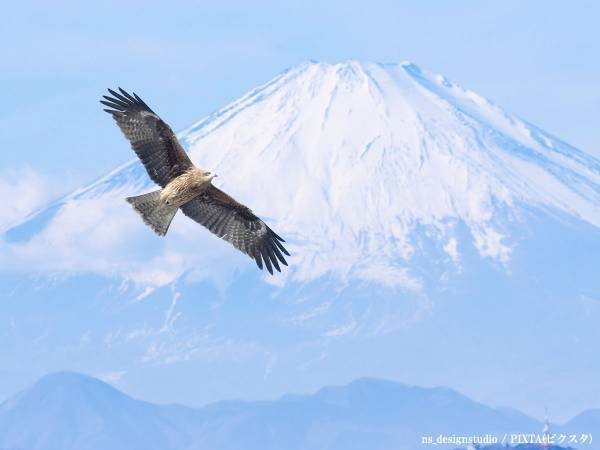 【『大奥 Season2』感想７話】福士蒼汰、瀧内公美が表現する人生の禍福