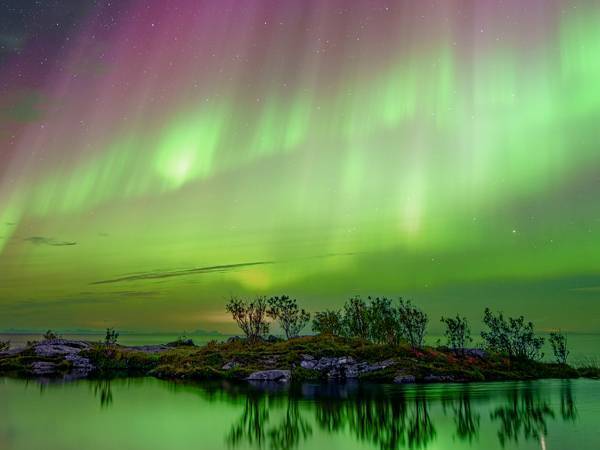 「なんて綺麗なの」「夢の世界のよう」　プロがとらえた『幻想的な１枚』がこちら！