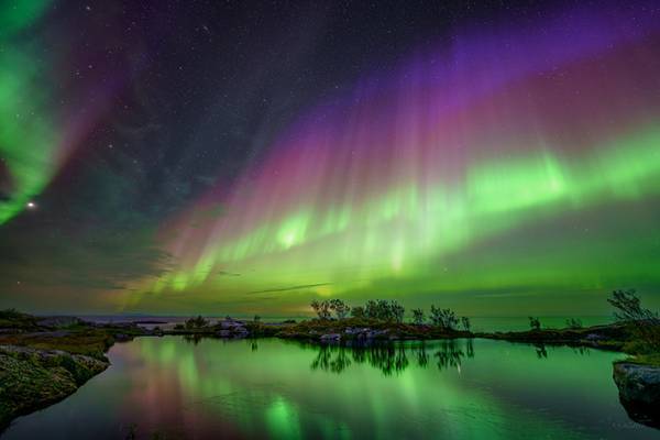 「なんて綺麗なの」「夢の世界のよう」　プロがとらえた『幻想的な１枚』がこちら！