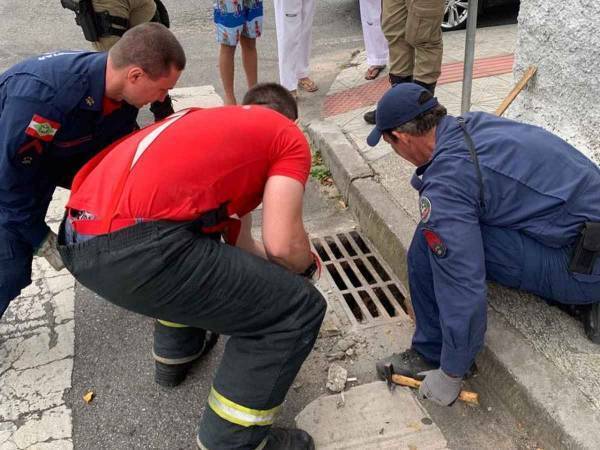 日本ではありえない！　消防士がマンホールから救出した『動物』とは？「かわいい」