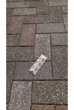 小学生「かっこいいやつ拾った！」　渡された物が『取れたらあかんヤツ』だった…