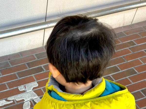 「化石がある！」といい出した３歳児　「天才か？」「子供の発想ってすごい」