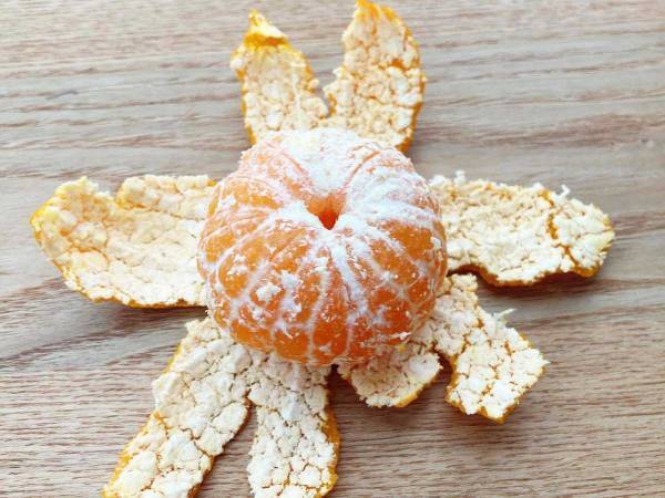 スーパーで迷ったことない？　おいしいミカンの選び方を覚えておこう！