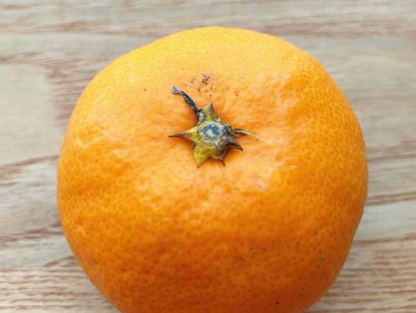 スーパーで迷ったことない？　おいしいミカンの選び方を覚えておこう！