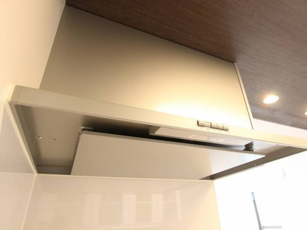 滴りそうなコレ何…？　１年ぶりにキッチンの換気扇掃除をしてみた結果