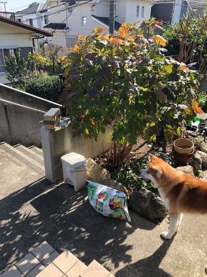 配達員「お話があるんですけど」　呼び出された住人、目の前の光景に血の気が引く！