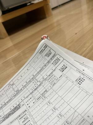 それは返して！　文鳥から取り返した書類に「これはダメなやつ！」「代わりに記入してくれるの？」