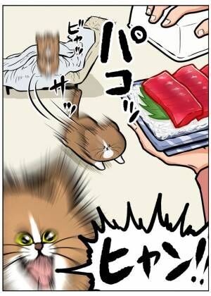 鴻池剛さんの猫漫画