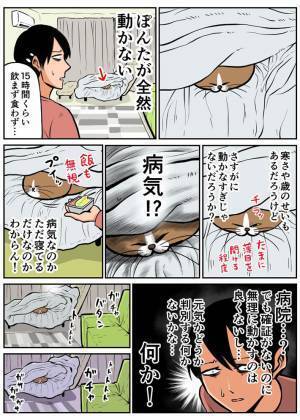 「こういうところあるよね」　病気が疑われる猫、飼い主が『あるもの』を持ってくると？