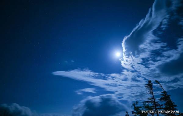 【今夜】１１月２７日は『ビーバームーン』　観測できる地域は？