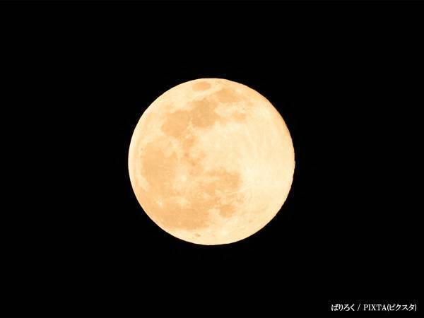 【今夜】１１月２７日は『ビーバームーン』　観測できる地域は？