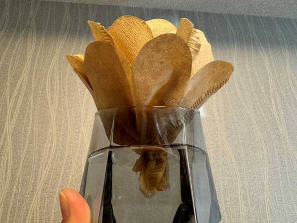 コーヒーフィルターの思わぬ活用法に「冬に最高」「潤っちゃうかも！」