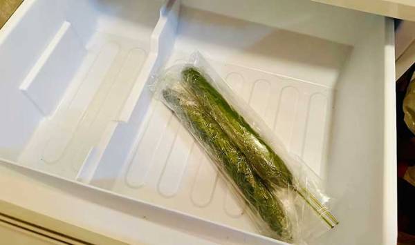 キュウリは冷凍してもおいしい！　塩昆布を使った簡単レシピに「箸が止まらない」