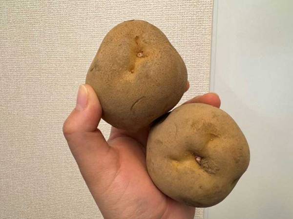 ジャガイモとリンゴと一緒に保存してみたら？　驚きの効果に「簡単ですごい」