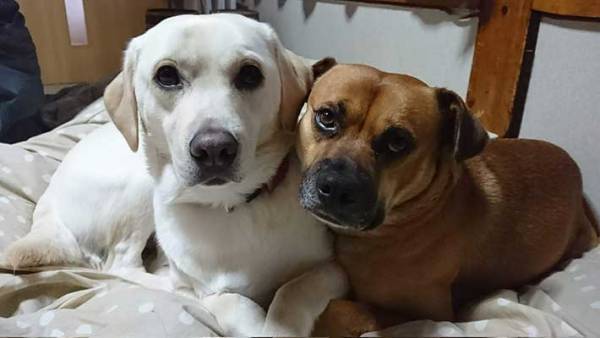 「さぞいい温泉だったんだな」　湯の花が豊富な温泉が自慢の宿　客が帰った後で見つけたものとは？