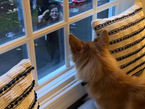 「おばあちゃんだー！」　分かりやすい、犬のリアクションがコチラ！