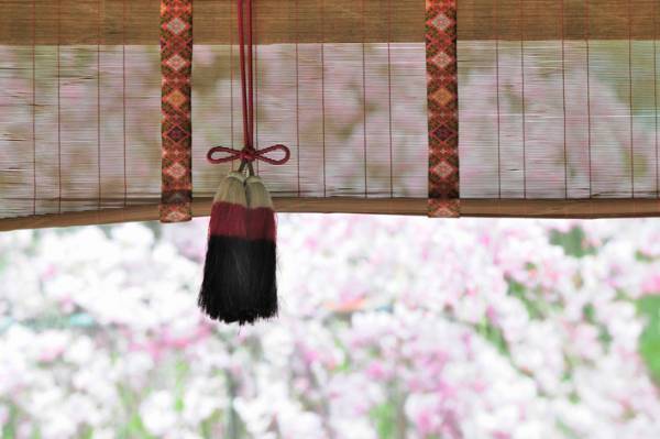 【『大奥 Season2』感想９話】和宮を演じる岸井ゆきのが放つ複雑な光