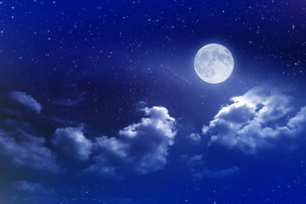 【『大奥 Season2』感想９話】和宮を演じる岸井ゆきのが放つ複雑な光