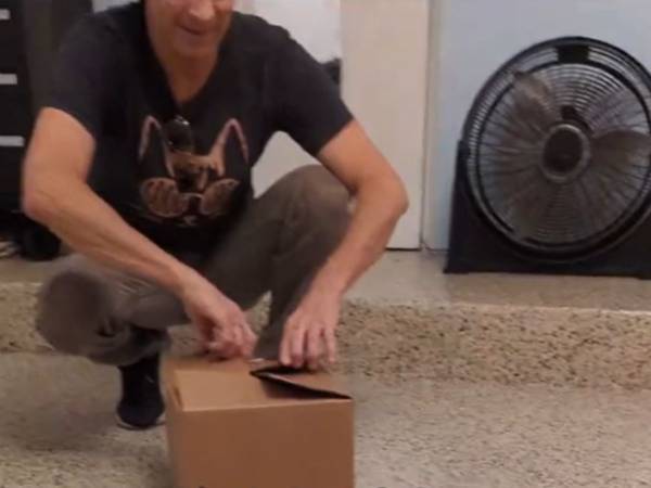 ペンキを買いに行った男性　買う予定でない『いいもの』に出会ってしまい…？