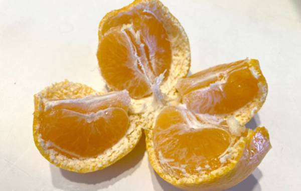 ミカンの皮、どうやってむいてる？　手が汚れない剥き方に「衛生的」「超簡単」