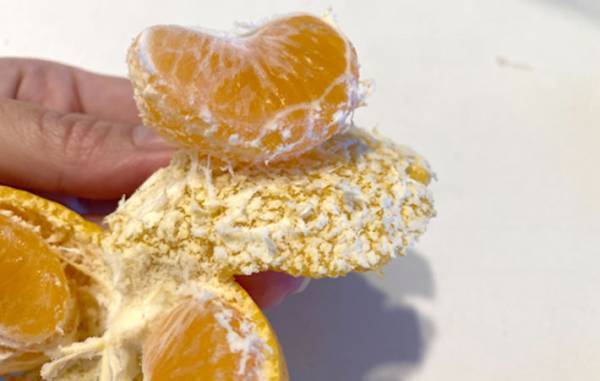 ミカンの皮、どうやってむいてる？　手が汚れない剥き方に「衛生的」「超簡単」