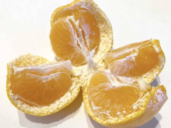 ミカンの皮、どうやってむいてる？　手が汚れない剥き方に「衛生的」「超簡単」