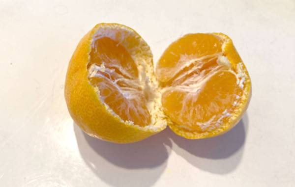 ミカンの皮、どうやってむいてる？　手が汚れない剥き方に「衛生的」「超簡単」