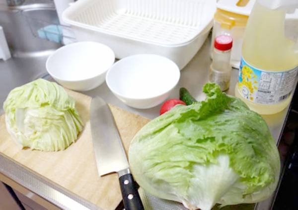 水切りカゴってジャマじゃない？　解決するダイソーグッズに「めっちゃ快適！」