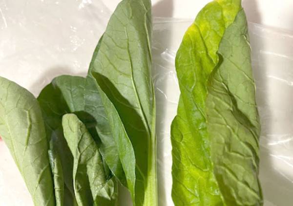 もっと早く使えばよかった！　無印良品の保存袋が、見た目は普通なのに超使える