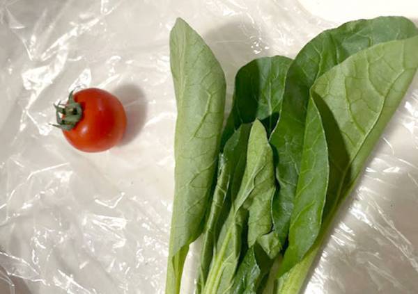 もっと早く使えばよかった！　無印良品の保存袋が、見た目は普通なのに超使える