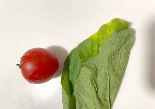 もっと早く使えばよかった！　無印良品の保存袋が、見た目は普通なのに超使える